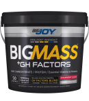 Bigjoy BigMass +Gh Factors Çilek